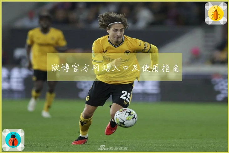 欧博官方网站入口及使用指南