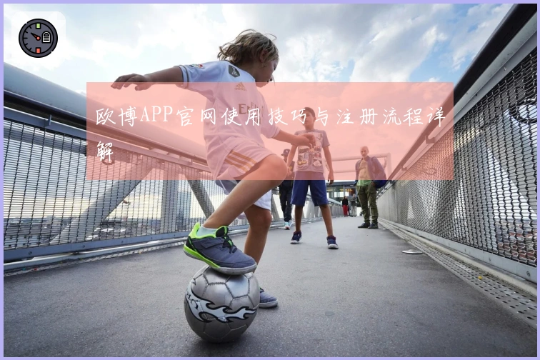 欧博APP官网使用技巧与注册流程详解