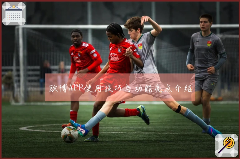 欧博APP使用技巧与功能亮点介绍